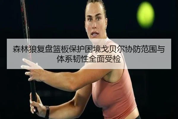 森林狼复盘篮板保护困境戈贝尔协防范围与体系韧性全面受检
